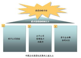 平衡計分卡與戰略管理 提升中國企業集團戰略執行力的實踐探索